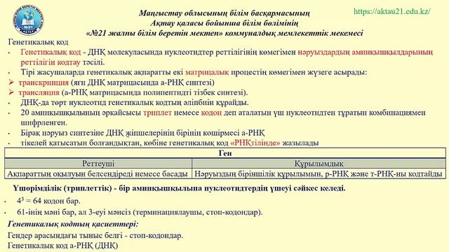 §13 Дезоксирибонуклеин қышқылы молекулаларының қызметі смотреть онлайн
