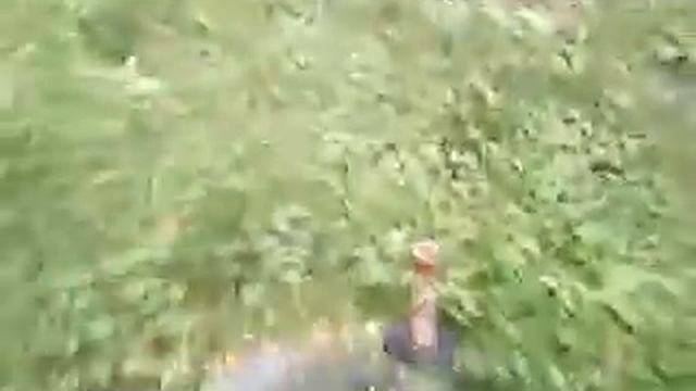 another test shell смотреть онлайн