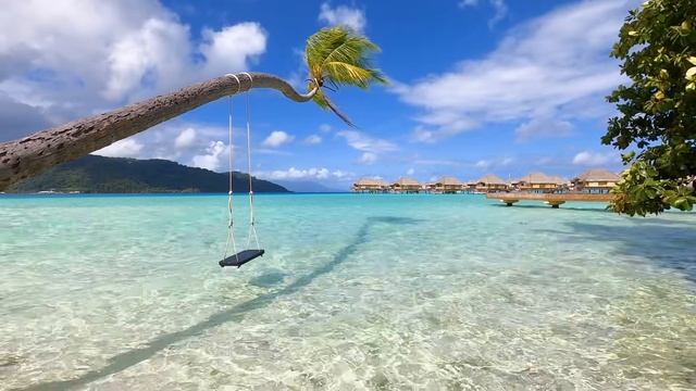 Island Paradise： 3 Hours of French Polynesia Ambience From Relaxing Taha'a смотреть онлайн