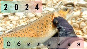 Рыбалка 2024. Река Обильная. Ленок на спиннинг.  Как поймать Ленка. Рыбалка в России.