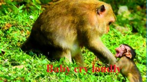 Breaking my heart! Baby hurt million cos mum fight so much| Poor try to hug mum , It so pity on bab