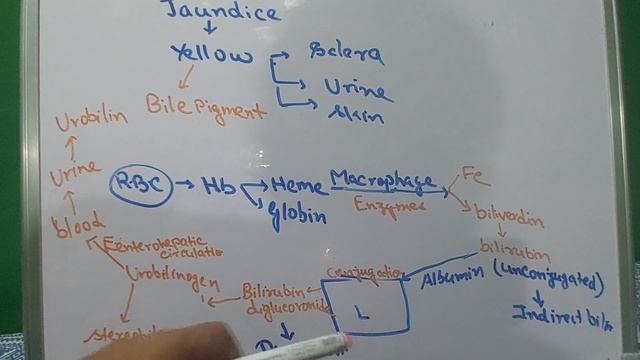 Jaundice and blie смотреть онлайн