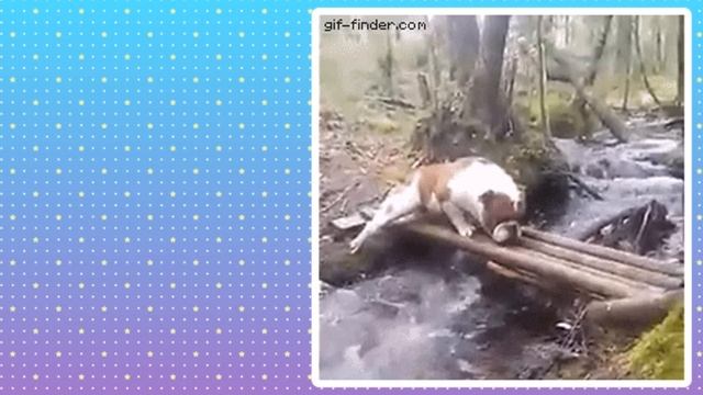 【神回】何度も見れるおもしろGif画像集ww by 2ch【コメ付き】【ゆっくり解説】【2chスレ】【5ch】#145 смотреть онлайн