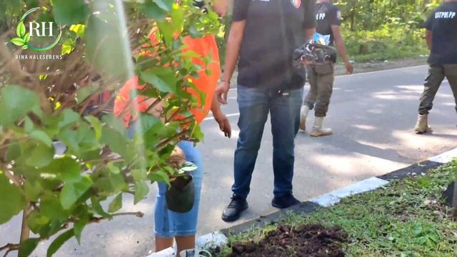 KOLABORASI TP PKK - DINAS LINGKUNGAN HIDUP & SATPOL PP KAB.BELU( Penanaman 250 Anakan bunga ) смотреть онлайн