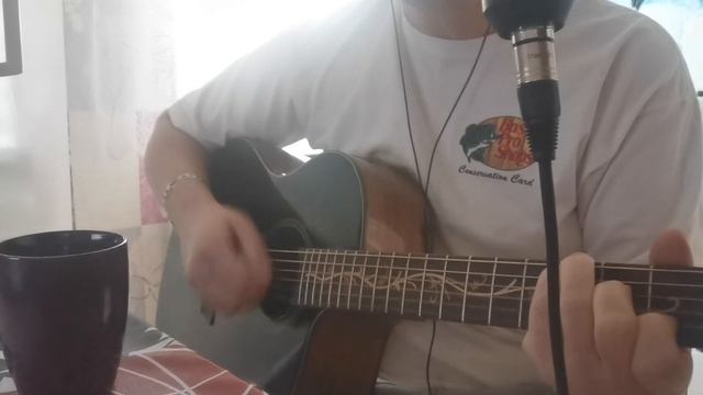 Прогулки по воде/Наутилус Помпилиус/cover/ смотреть онлайн