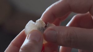 「一席一果」——晶莹剔透的桂圆【滇西小哥】