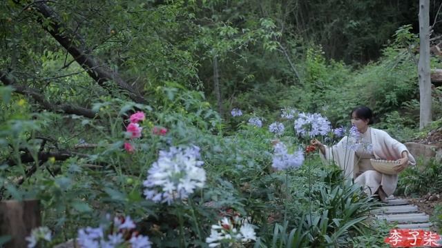 The life of tomato~番茄………的一生？| 花开好了，果子熟了，蕃茄红了，蕃茄火锅走起！| Liziqi Channel смотреть онлайн