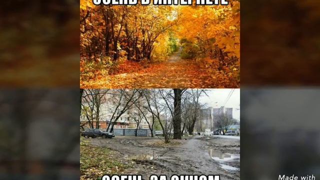 Тест на Психику. смотреть онлайн