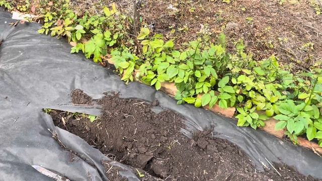 Домик в белорусской деревне ч. 31 смотреть онлайн