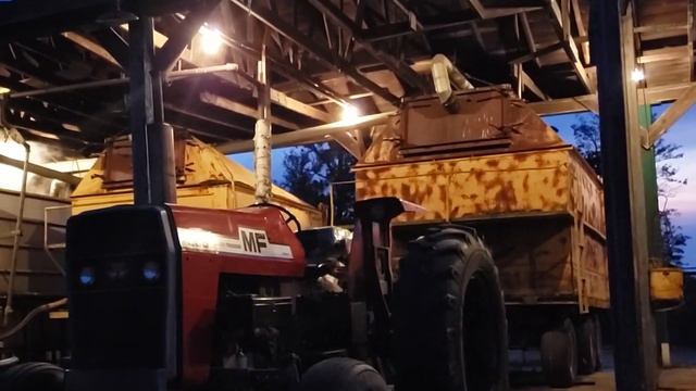 Harvesting and Distilling Peppermint - Grandpa's Good Earth смотреть онлайн
