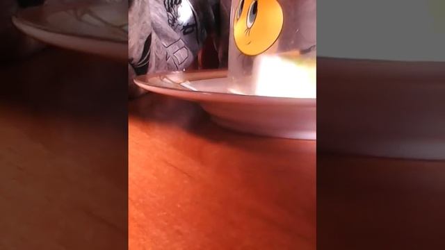 ФОКУС. :-   со спичками. и. водой