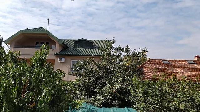 Бойные Голуби. Гоняем голубей после линки. 07.10.20 Грузия. Тбилиси смотреть онлайн