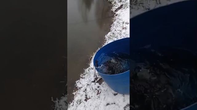 запуск смотреть онлайн