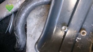 Замена стоек и пружин на ваз 2110. @BlagYar & @Svetovoi163