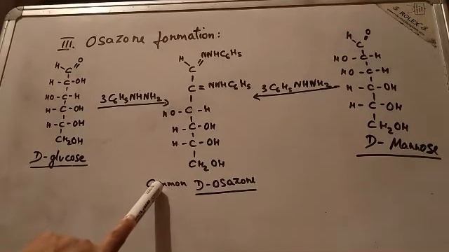 Important reactions of Monosaccharides/Botany смотреть онлайн