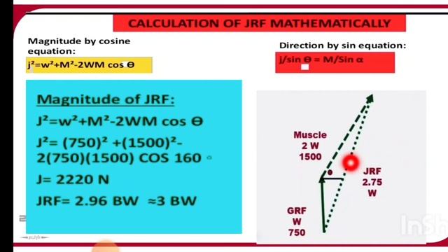 Kinetics of hip joint, Biomechanics 1, Lec 8 (part 2) смотреть онлайн