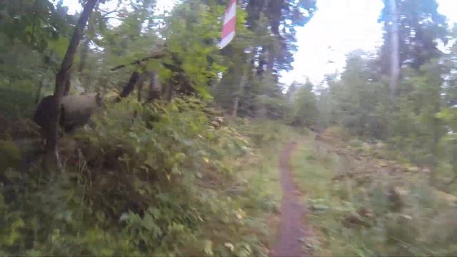 Крепкий Орех - конец лета 2018 смотреть онлайн