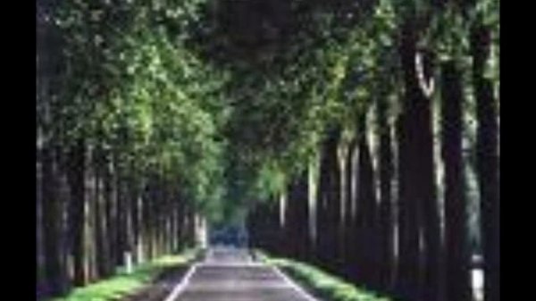 Nickelback-If Everyone Cared