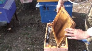 Объединение пчелосемей весной через леток