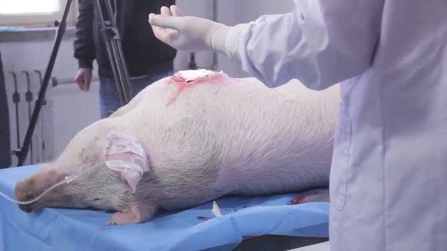 Cellgene™ Care Chitosan Wound Dressing смотреть онлайн