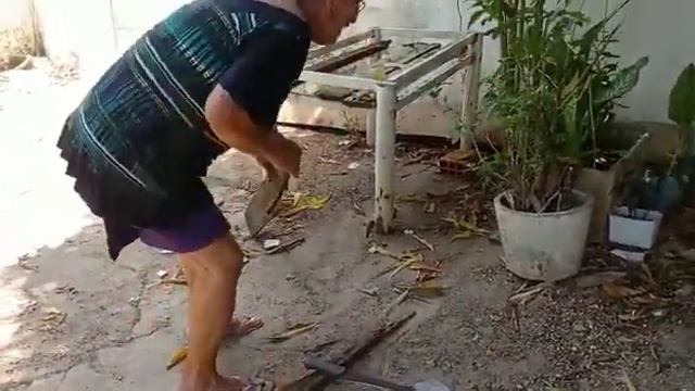 Dona Ester fazendo o canteiro смотреть онлайн