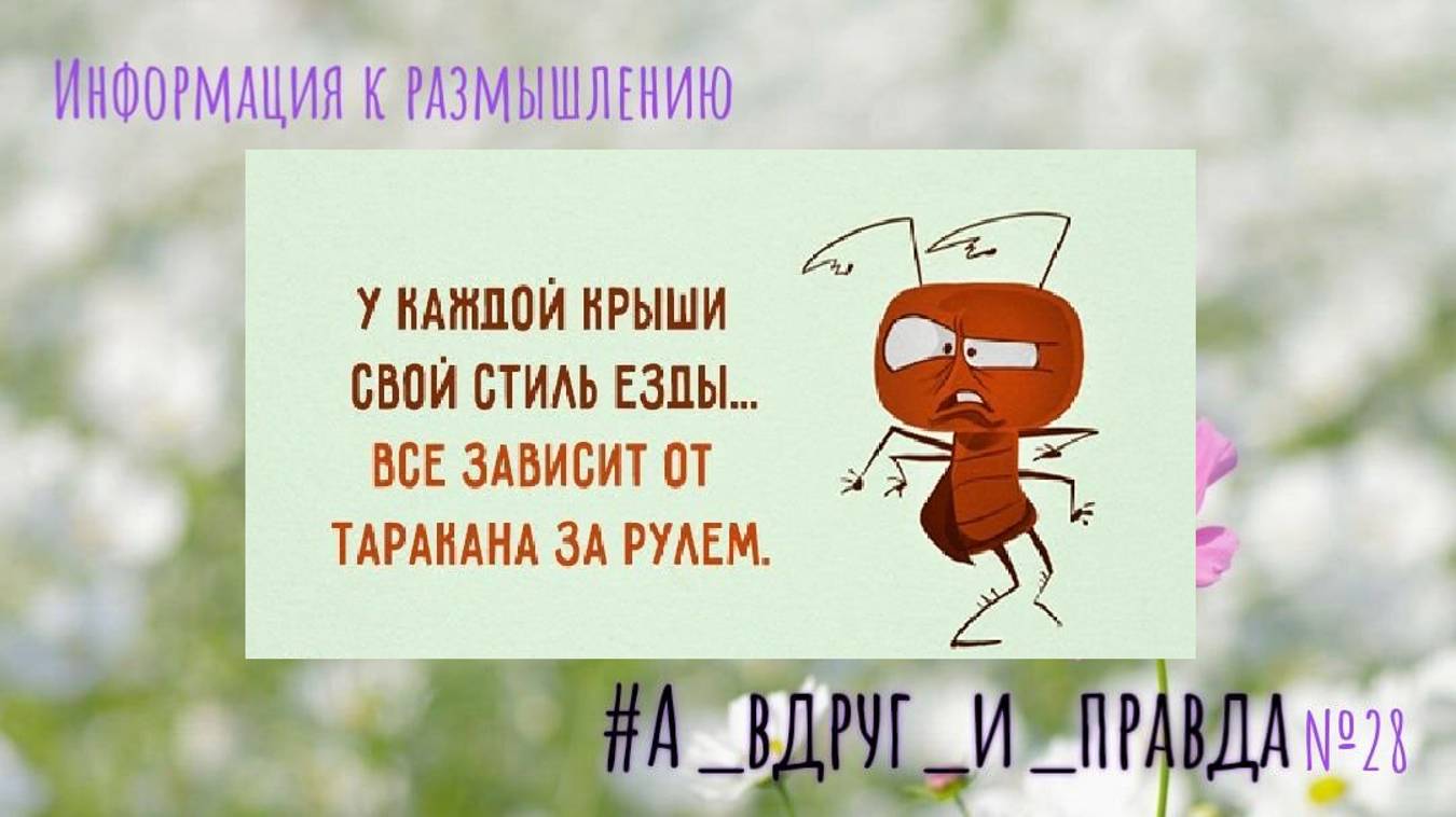 Шторм после Пробуждения смотреть онлайн