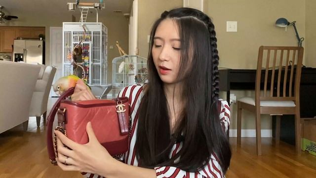 Chanel Gabrielle【香奈儿流浪包测评】我常用的6种背法｜到底值不值得买？ смотреть онлайн