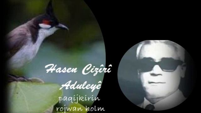 Hasen Cizîrî Aduleyê смотреть онлайн