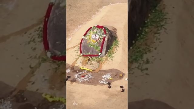 Bhumi Pooja of Isha Yoga Center Banglore... New Ashram To Be Built @banglore смотреть онлайн