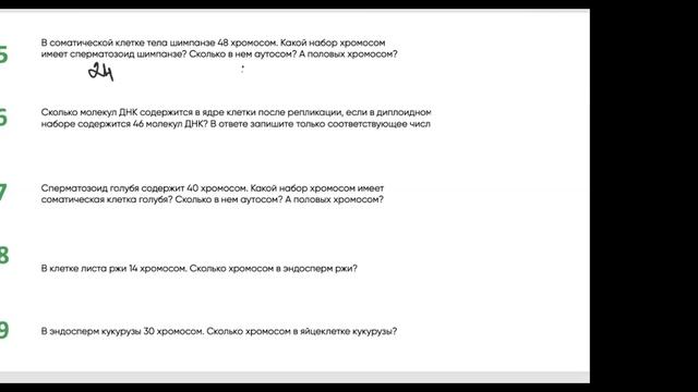12 12 6 гр генетика смотреть онлайн