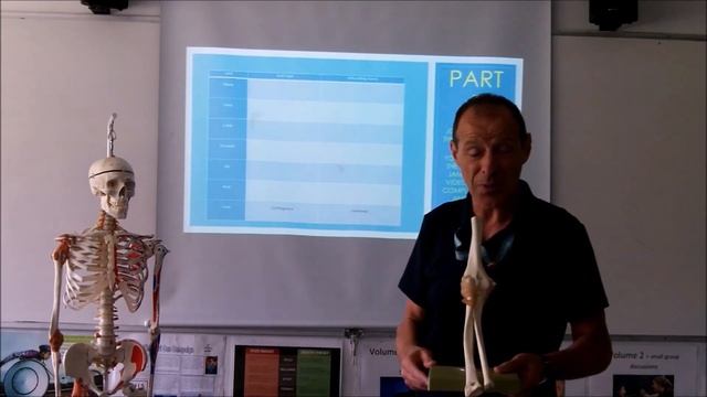 PE A Level & Sport Extended Certificate Summer Work 2020 смотреть онлайн