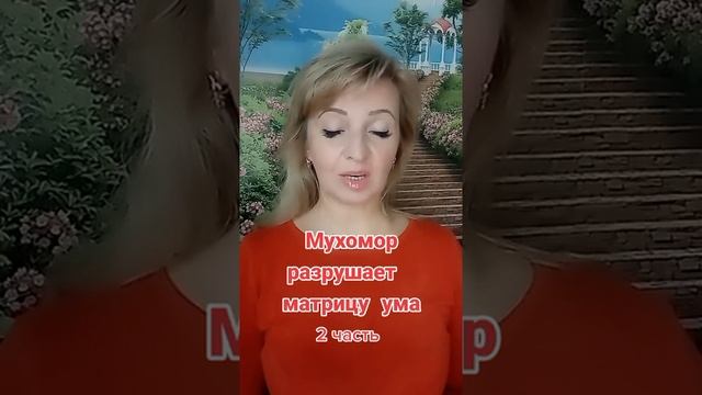 Мухомор.Матрица ума. Влияние на психику. Телепатическое исследование. #просветление#душа#радость смотреть онлайн