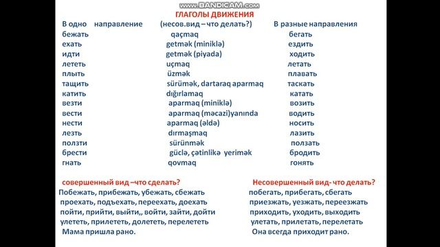Rus dili. Глаголы движения смотреть онлайн