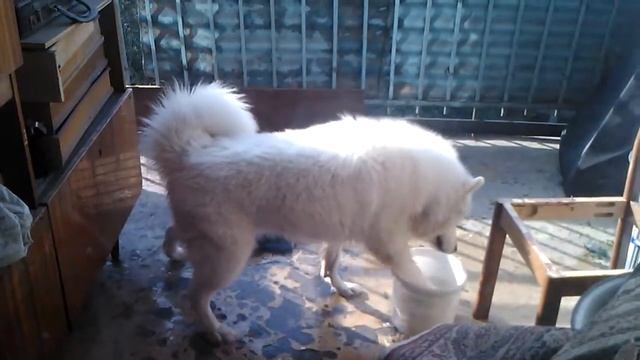 Фрейя, жара и ведро воды) смотреть онлайн