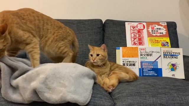 いい本を広めていく、絶版にさせないことこそ真の英語教育改革だ смотреть онлайн