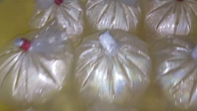 отправка. 3 коробки. 36 пакетов,288 рыбок, дискусы, турки, кобальт, леопард, снейк скин. смотреть онлайн