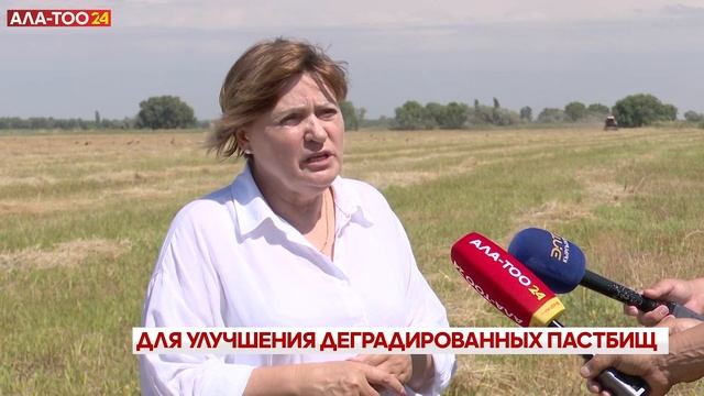 Для улучшения деградированных пастбищ смотреть онлайн