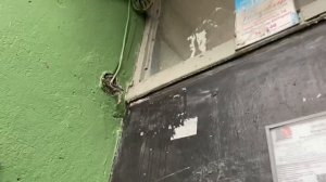 Заброшенный не обслуживаемый блок вызова Метаком МК99.1