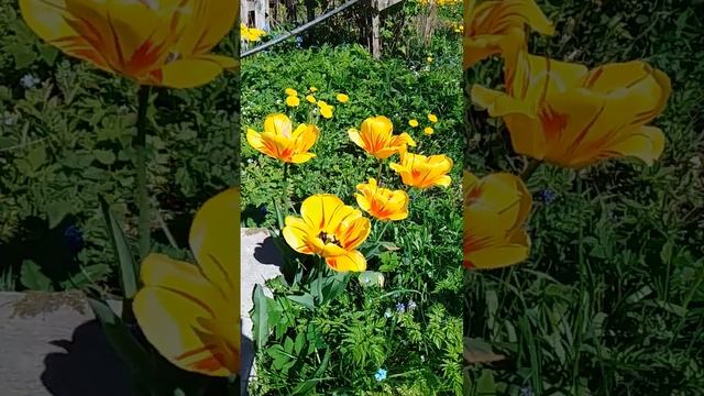 Весна смотреть онлайн