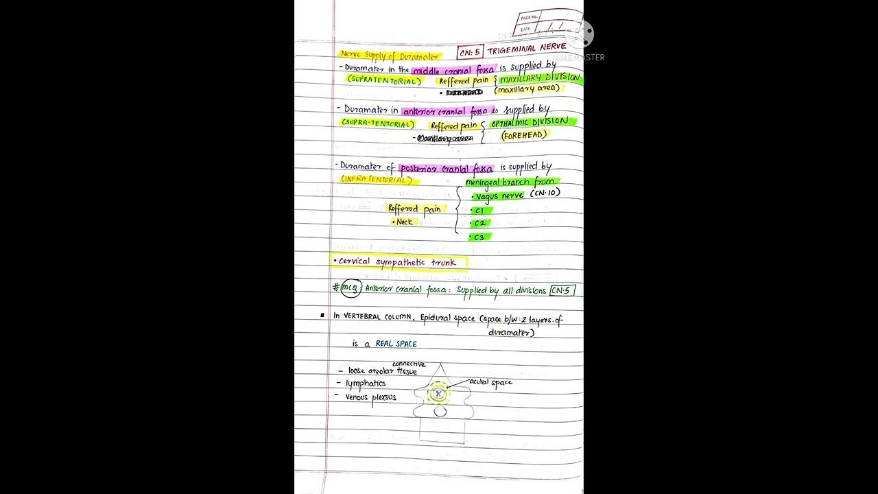 Dr Najeeb Meninges 2 #drnajeeb #mbbs #medical #notes #medicos #handwritten #cns #neuroanatomy смотреть онлайн
