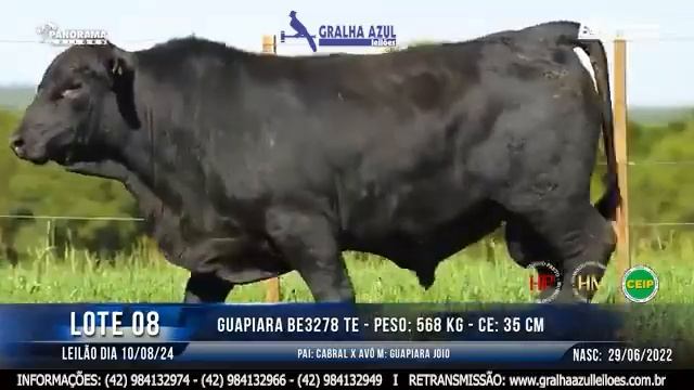 LOTE 08 смотреть онлайн