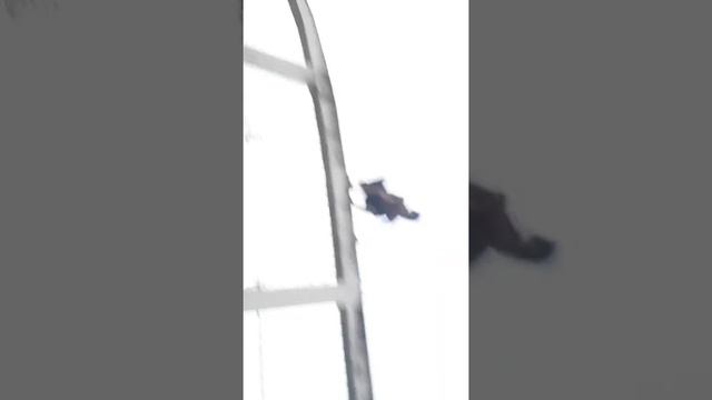 Cocaino смотреть онлайн