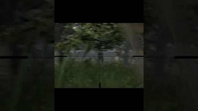 Бегущий по травке .