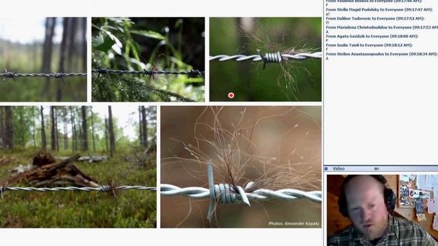How to pluck a brown bear смотреть онлайн