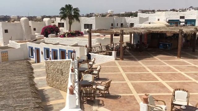 Mike and Zarina in Egypt 2 смотреть онлайн