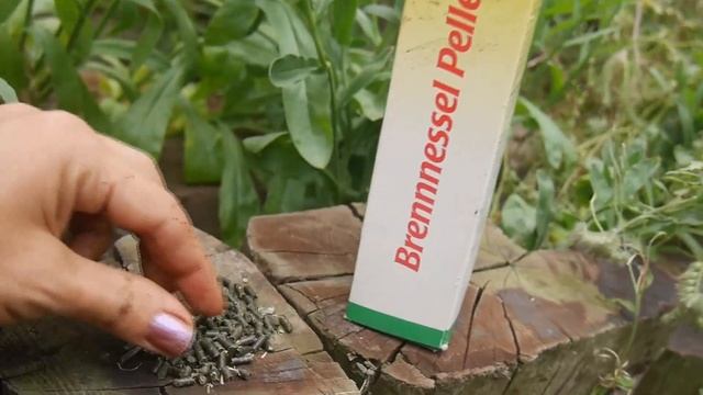 Elaboración de Purín de Ortiga смотреть онлайн