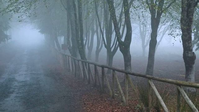 Ambient-Classical-Music-The-Gate смотреть онлайн