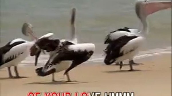 MUSIC05 I Have Nothing - Whitney Houston