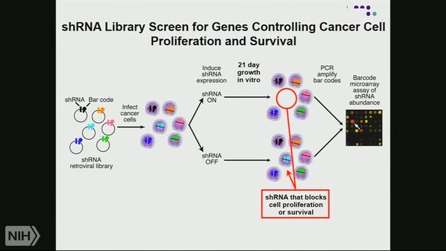 TRACO 2015: Ovarian Cancer - Immune Checkpoint смотреть онлайн