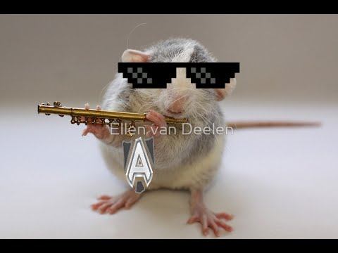 Dota HighLights vol.2 - R[A]t Doto смотреть онлайн